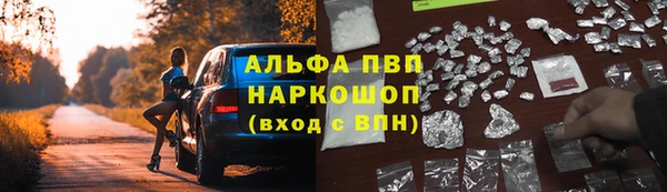 крисы Балахна