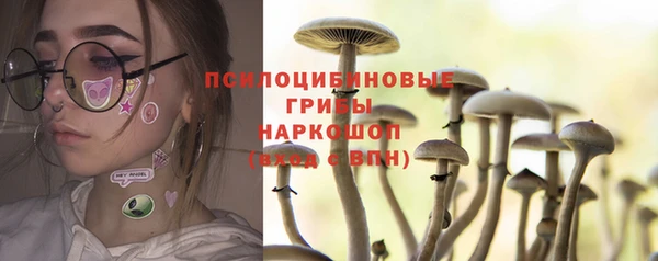 молекула духа Баксан