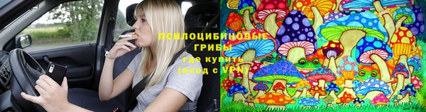 крисы Балахна